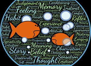 乐鱼体育网页登录-法甲实际战术板使用率与胜率关系初步调查，法国套战术板