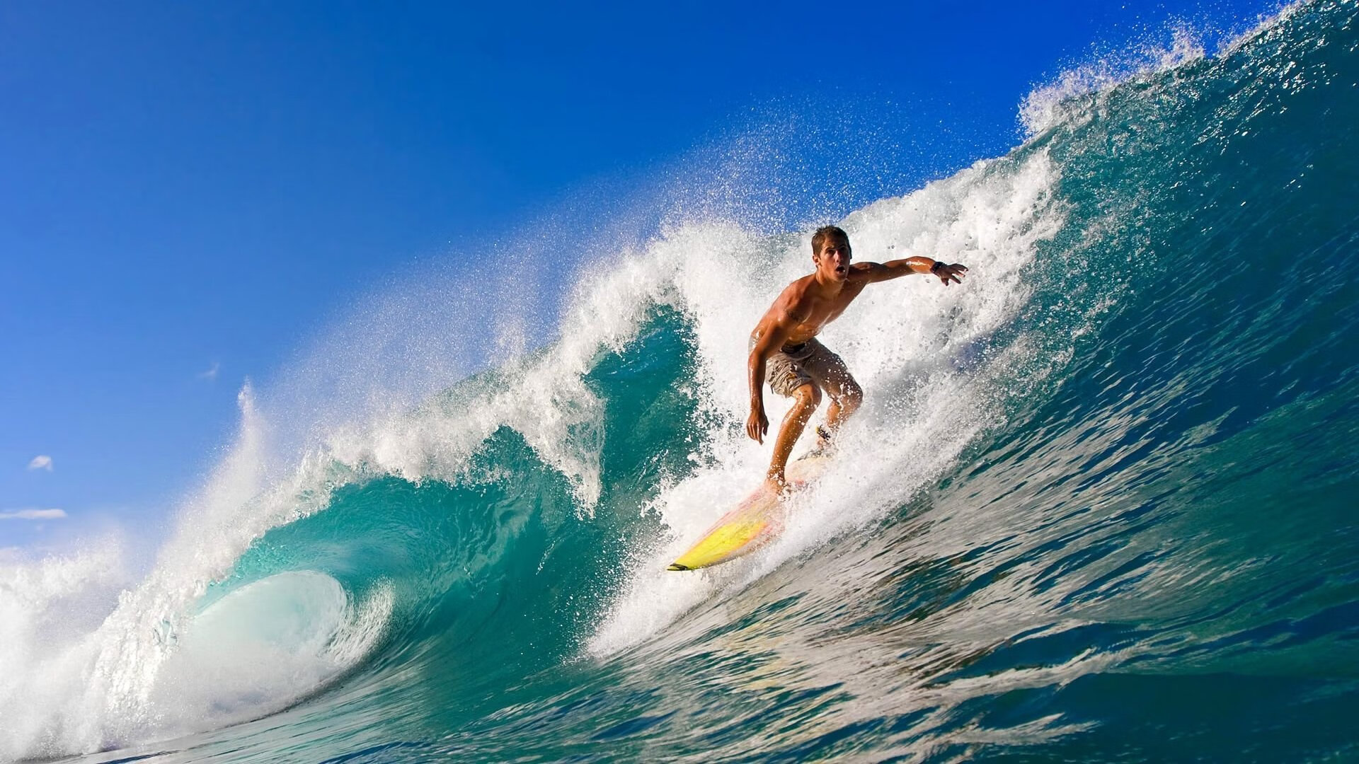 乐鱼体育平台登录-直播平台接入多语种翻译拓展受众，在直播翻译