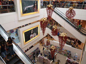 乐鱼app-迈向未来：Chinese Taipei团队在国际赛场的崭新发展，chinese of taipei